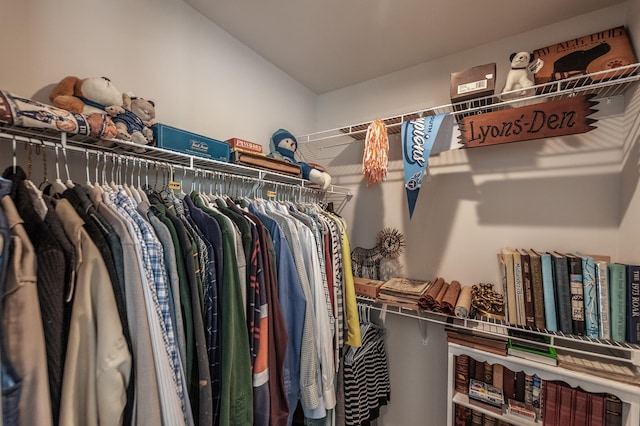 124 Great Falls Ct, Gallatin, TN 37066 - view of walk in closet