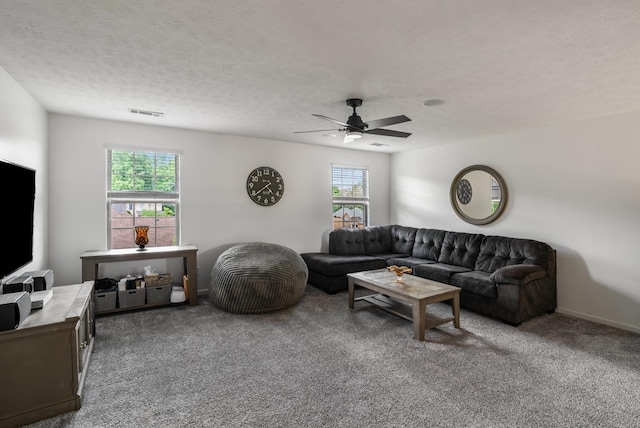 living area featuring ceiling fan, plenty of natural light, carpet flooring, and a textured ceiling