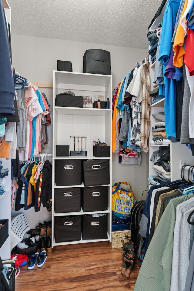 158 Cornerstone Blvd, Portland, TN 37148 - spacious closet with wood finished floors