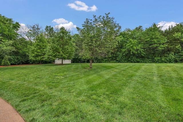 view of grassy yard featuring a storage unit and an outdoor structure
