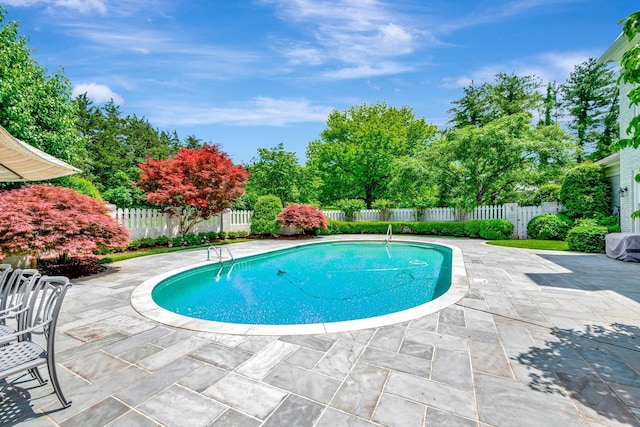 view of swimming pool featuring a patio area and a fenced backyard