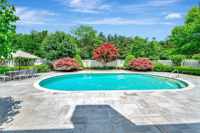 view of swimming pool featuring a patio area, a fenced backyard, and view of scattered trees