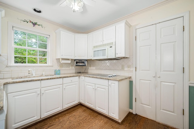 kitchen with white microwave, a sink, wood finished floors, tasteful backsplash, and ornamental molding
