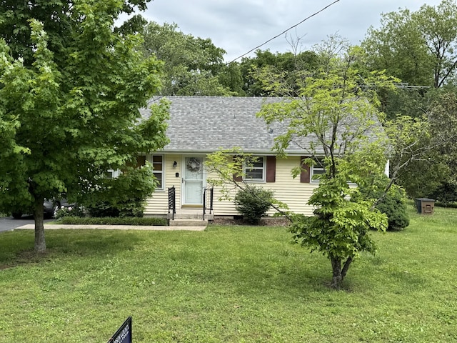 view of front facade with a front lawn and roof with shingles