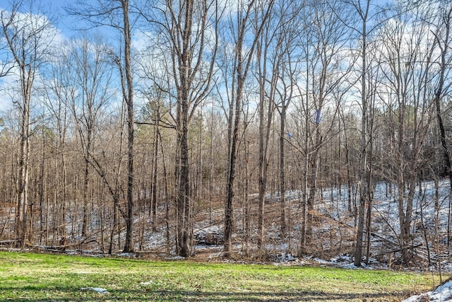 6966 Park Dr, Lyles, TN 37098 - view of grassy yard