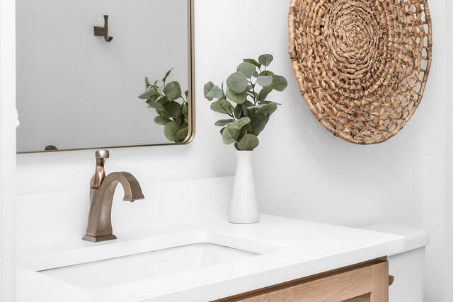 517B River Rouge Dr, Nashville, TN 37209 - bathroom view of vanity