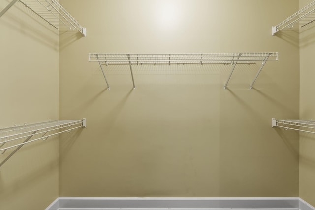 3100 W End Cir Unit 102, Nashville, TN 37203 - view of walk in closet