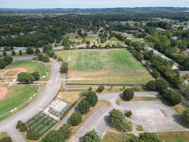 bird's eye view