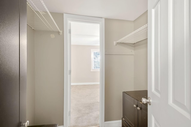 walk in closet with carpet