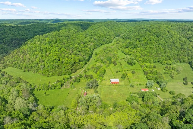 747 Hunting Creek Rd, Whitleyville, TN 38588 - drone / aerial view of a forest