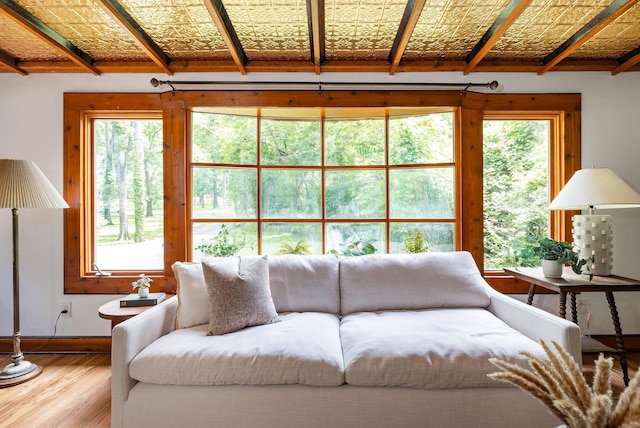 living area featuring wood finished floors and plenty of natural light
