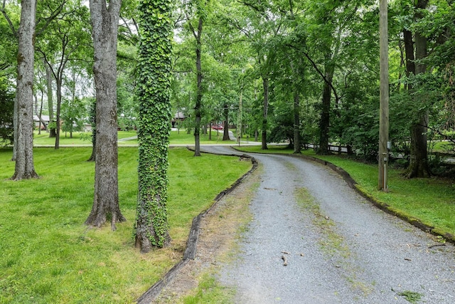 view of dirt / gravel road