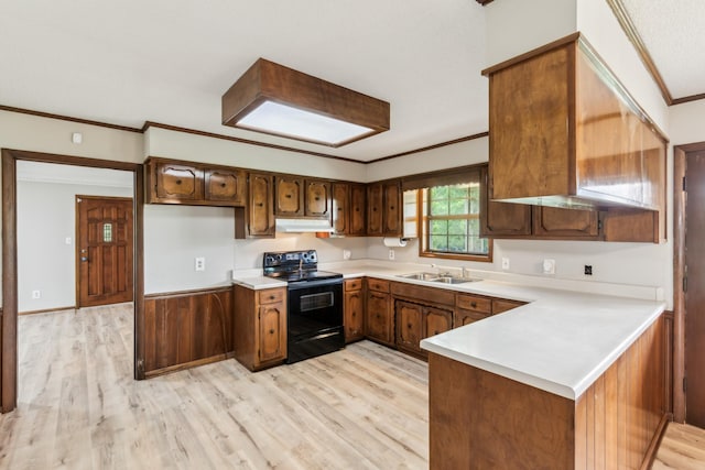 5245 Galen Rd, Lafayette, TN 37083 - kitchen with electric range, under cabinet range hood, ornamental molding, a peninsula, and a sink