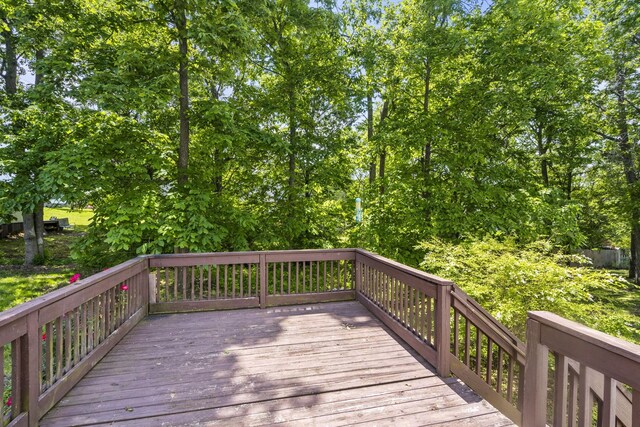 3716 Asheford Trce, Antioch, TN 37013 - photo 29