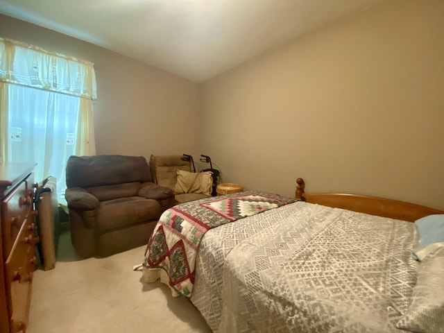 7 Timbers Edge Rd, Fayetteville, TN 37334 - bedroom with carpet flooring