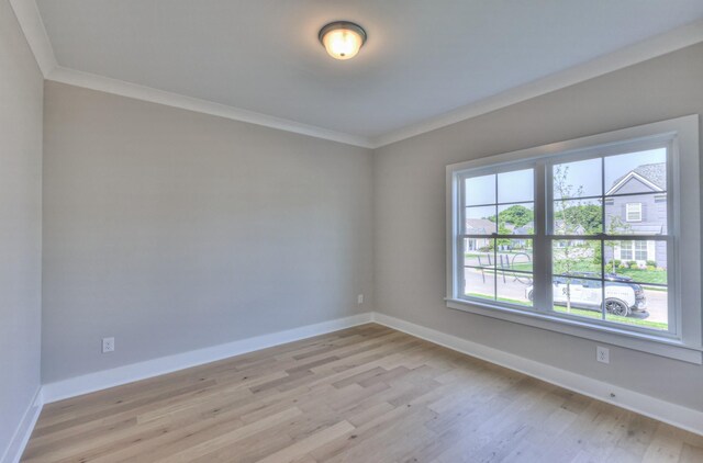 2231 Rockweather Dr, Murfreesboro, TN 37128 - photo 4