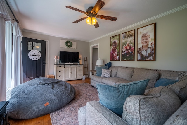 living room with wood finished floors, ornamental molding, a ceiling fan, and healthy amount of natural light