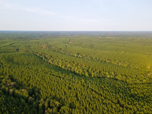 538 Seiber Ridge Rd, Hohenwald, TN 38462