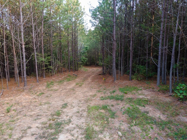 538 Seiber Ridge Rd, Hohenwald, TN 38462
