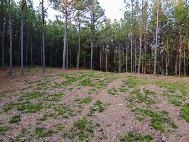 538 Seiber Ridge Rd, Hohenwald, TN 38462