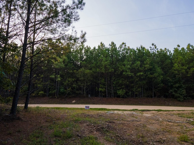 538 Seiber Ridge Rd, Hohenwald, TN 38462