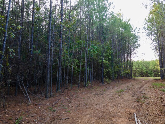 538 Seiber Ridge Rd, Hohenwald, TN 38462