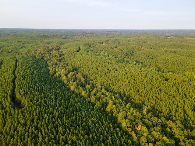 538 Seiber Ridge Rd, Hohenwald, TN 38462