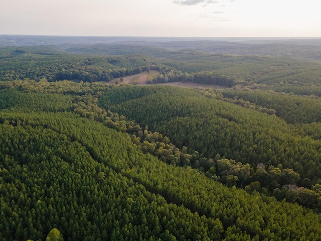 538 Seiber Ridge Rd, Hohenwald, TN 38462