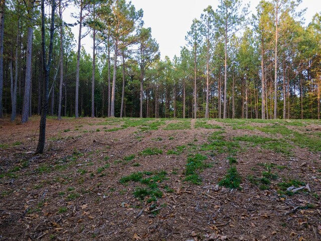 538 Seiber Ridge Rd, Hohenwald, TN 38462
