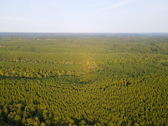 538 Seiber Ridge Rd, Hohenwald, TN 38462