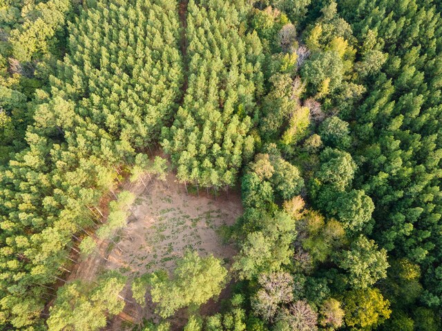 538 Seiber Ridge Rd, Hohenwald, TN 38462