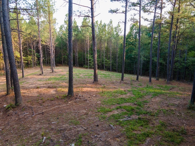 538 Seiber Ridge Rd, Hohenwald, TN 38462