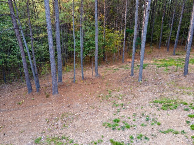 538 Seiber Ridge Rd, Hohenwald, TN 38462