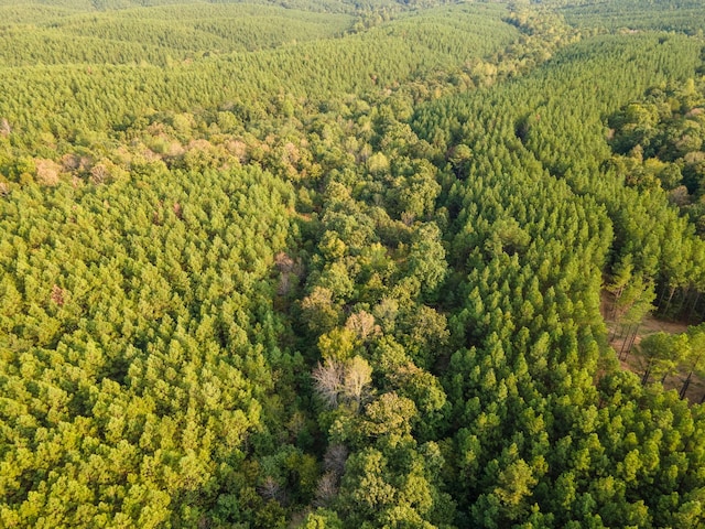 538 Seiber Ridge Rd, Hohenwald, TN 38462