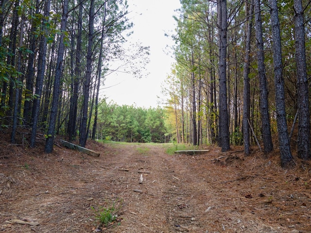538 Seiber Ridge Rd, Hohenwald, TN 38462
