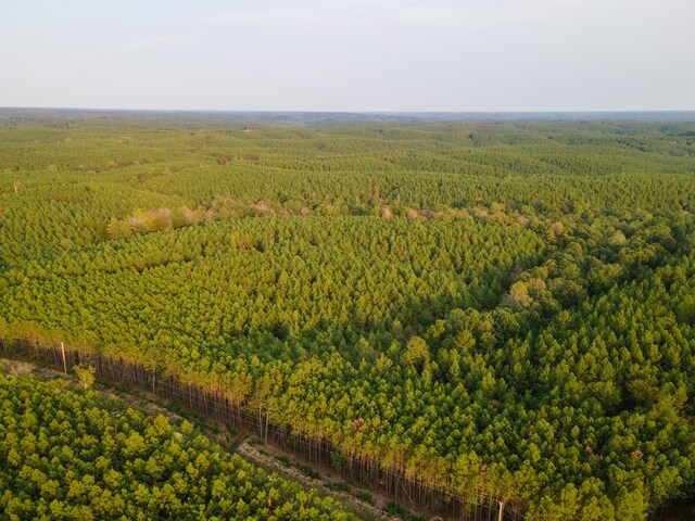 538 Seiber Ridge Rd, Hohenwald, TN 38462