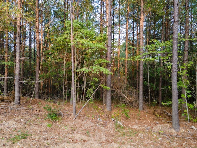 538 Seiber Ridge Rd, Hohenwald, TN 38462