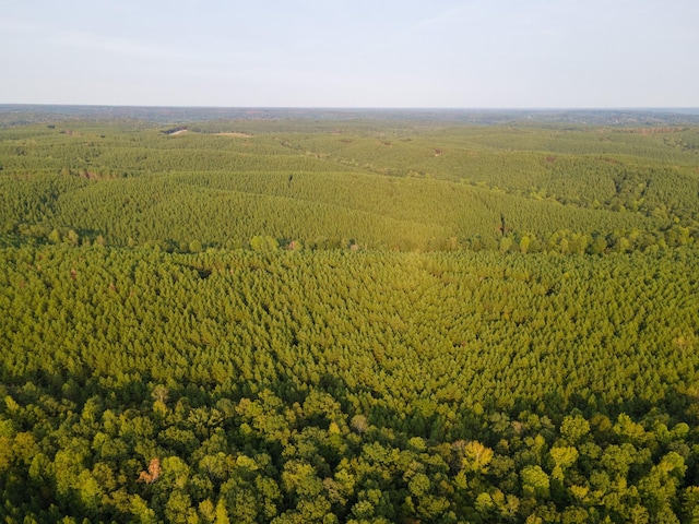 538 Seiber Ridge Rd, Hohenwald, TN 38462