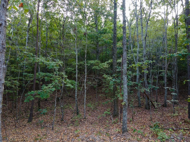 538 Seiber Ridge Rd, Hohenwald, TN 38462