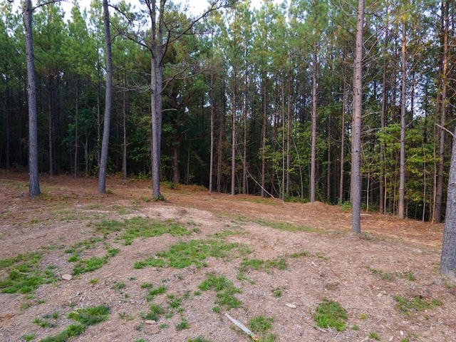 538 Seiber Ridge Rd, Hohenwald, TN 38462