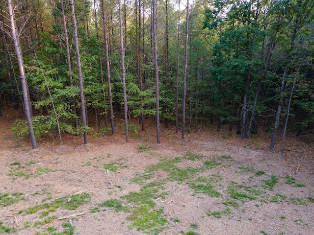 538 Seiber Ridge Rd, Hohenwald, TN 38462