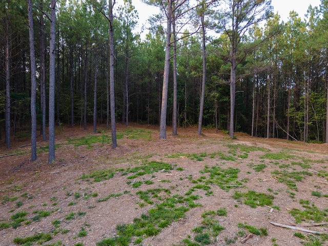 538 Seiber Ridge Rd, Hohenwald, TN 38462