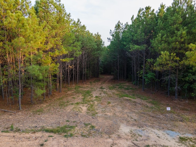 538 Seiber Ridge Rd, Hohenwald, TN 38462
