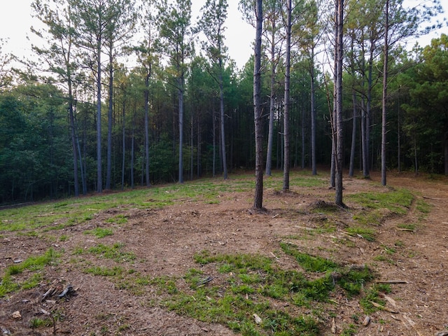 538 Seiber Ridge Rd, Hohenwald, TN 38462