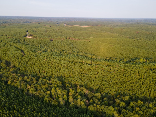 538 Seiber Ridge Rd, Hohenwald, TN 38462