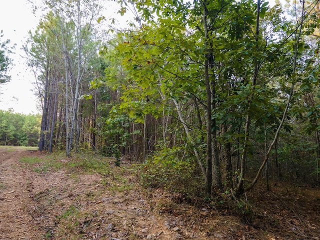 538 Seiber Ridge Rd, Hohenwald, TN 38462