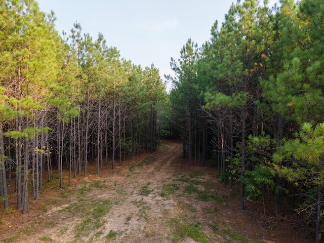 538 Seiber Ridge Rd, Hohenwald, TN 38462