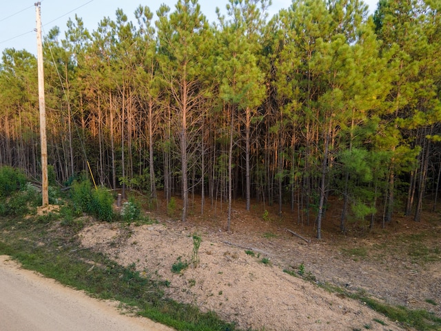538 Seiber Ridge Rd, Hohenwald, TN 38462