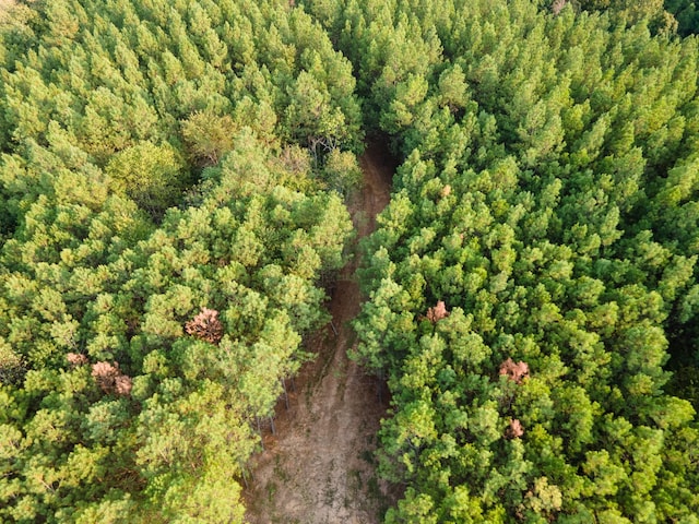 538 Seiber Ridge Rd, Hohenwald, TN 38462