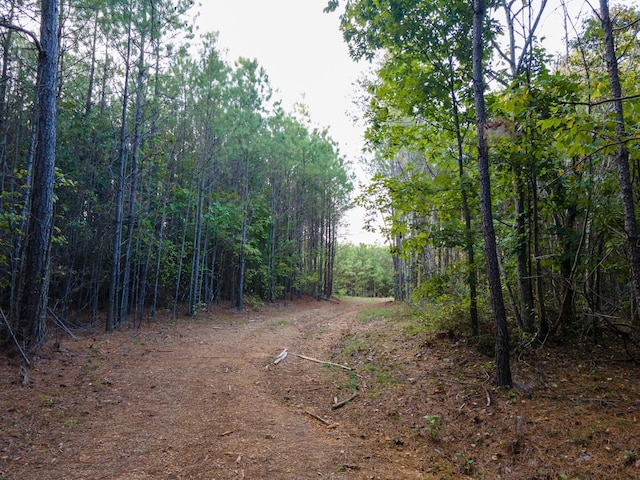 538 Seiber Ridge Rd, Hohenwald, TN 38462